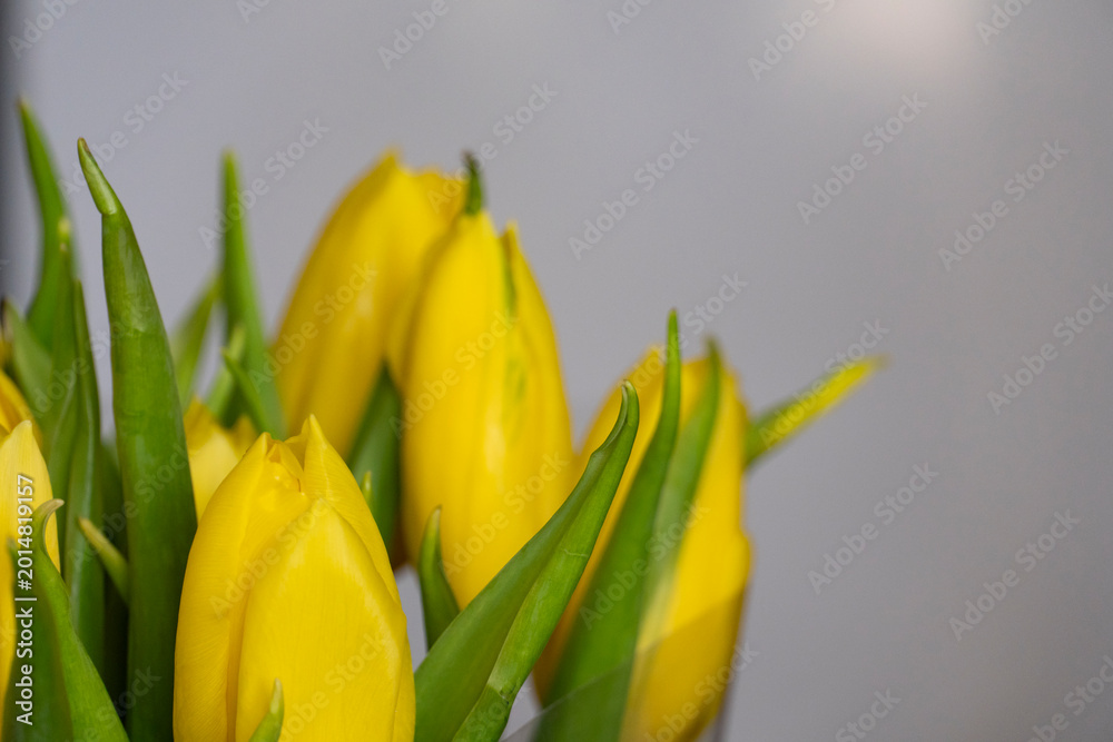 Naklejka premium Yellow Tulips Close Up Bouquet