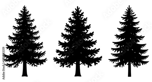 Tableau sur toile pine, fir, spruce, tree, silhouette, black, forest, evergreen, nature, woodland,