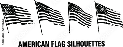 Fotografie American Flag Silhouettes on Independence Day USA