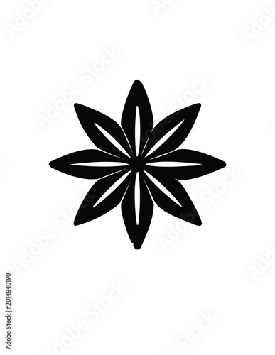 Tableau sur toile star anise