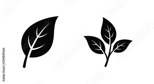 leaf silhouettes with veins isolated on white background