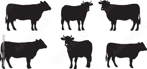Foto Black cow silhouettes standing in different positions