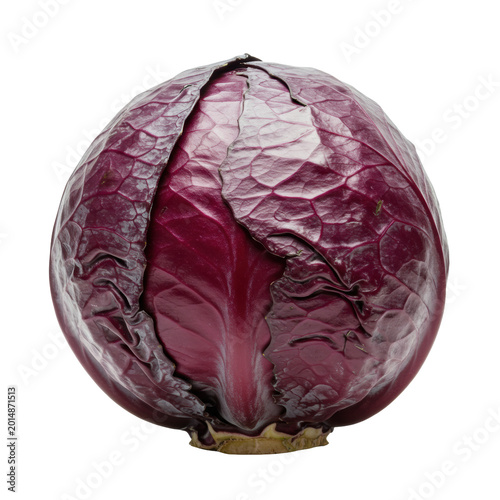 A single, fresh, vibrant ruby-red cabbage with glossy leaves and intricate veining, perfectly isolated on a transparent background with copy space, concept of fresh organic produce purity