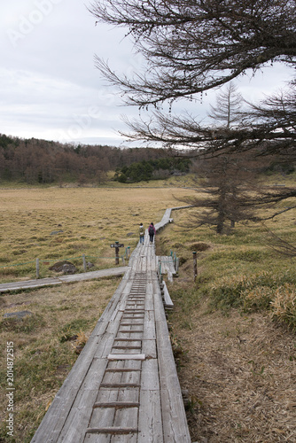 Beautiful Scenic Landscape of Ikenohira Wetland in Nagano Japan