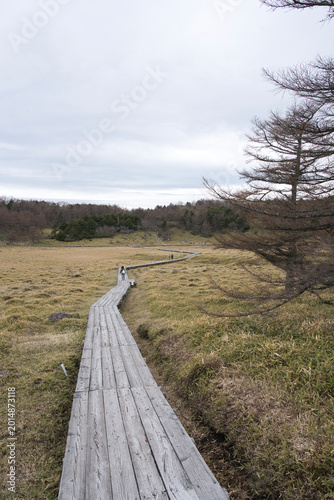 Beautiful Scenic Landscape of Ikenohira Wetland in Nagano Japan