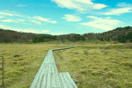 Beautiful Scenic Landscape of Ikenohira Wetland in Nagano Japan