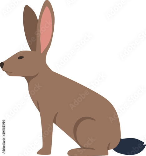 Wild Animal Illustration