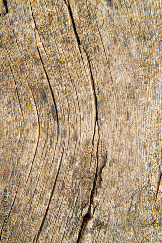 The texture of old wood with wavy cracks.
