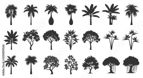Fotografie Silhouettes of various palm and deciduous tree shapes in black on white background