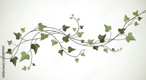Horizontal green ivy vine garland on white background.