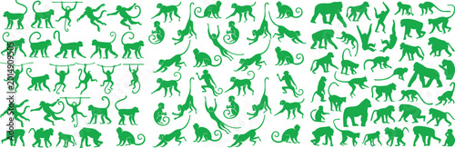 Photos Monkey repeat pattern with different poses climbing swinging sitting and hanging
