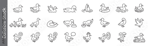 Duck and waterfowl icon set – editable outline symbols of animal behavior, family, swimming, nature and wildlife