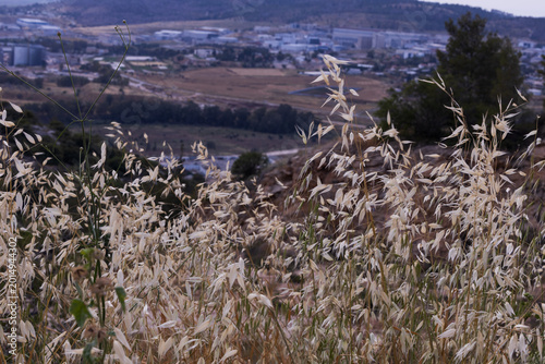 A walk through Beit Guvrin National Park