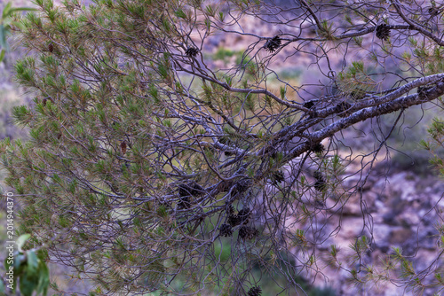 A walk through Beit Guvrin National Park