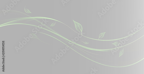 Photography Flowing Elegant Botanical Energy Lines Creating Soft Abstract Decorative Artisti