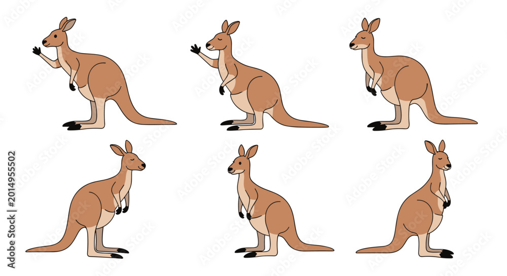 Obraz premium Collection of six kangaroo illustrations in various standing and reaching poses for nature and wildlife design projects in art.