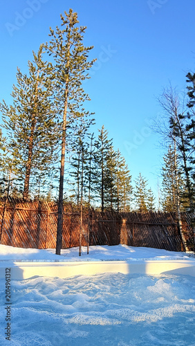 Snowy Pine Forest View from Outdoor Jacuzzi Pool in Lapland Finland