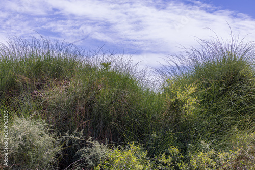 A walk through Beit Guvrin National Park