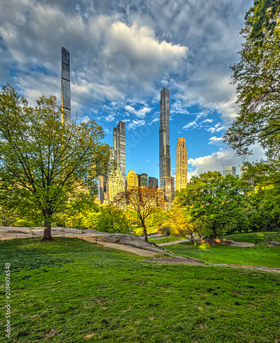 Sheep Meadow Central Park, late spring