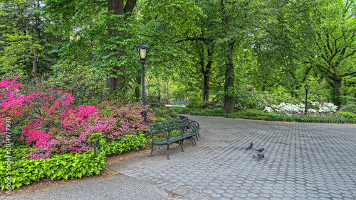 Central Park in spring, early morning
