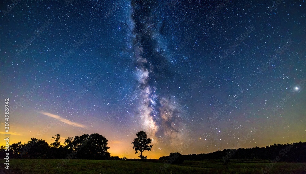 Fototapeta premium Vibrant night sky with milky way above silhouette of trees and distant horizon under a starry expanse