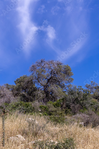A walk through Beit Guvrin National Park