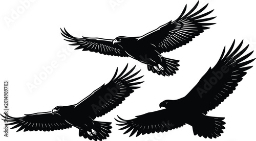 Bild auf Leinwand Flying eagle silhouettes, majestic bird design, powerful wings, freedom concept,