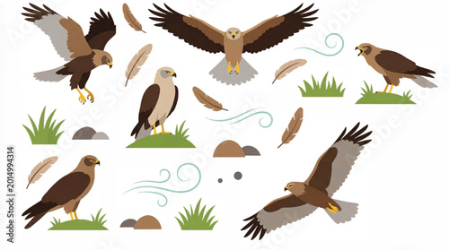 Foto Majestic eagle and hawk vector set, flying birds of prey collection with feather