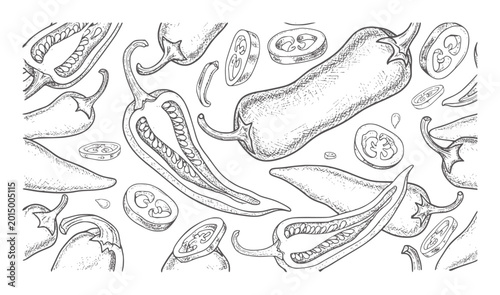 Hand drawn of sliced and whole chili peppers scattered across white food ingredient