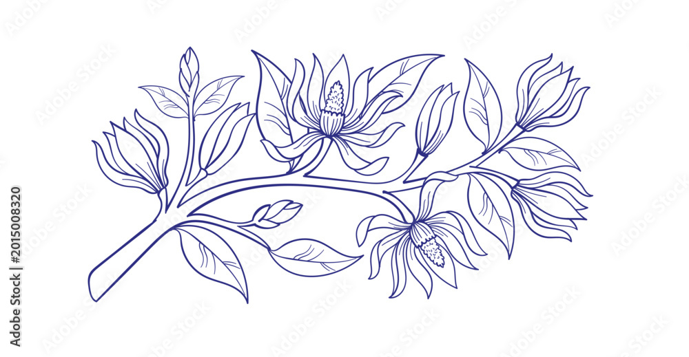Fototapeta premium Champaca flower hand drawn vector ink traditional oriental asian Indian design isolated