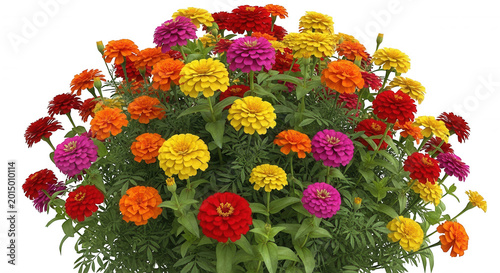 A dense bouquet of vibrant zinnia flowers in shades of red, orange, yellow, and magenta with green leaves isolated on a black background