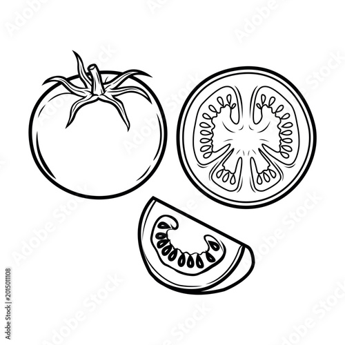 line art style tomato illustration