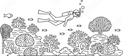 Quadro su tela Scuba diver exploring coral reef with fish and underwater plants during ocean exploration activity