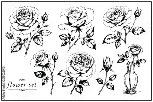 Schilderij op canvas Black and white vintage rose flowers set illustration Vector