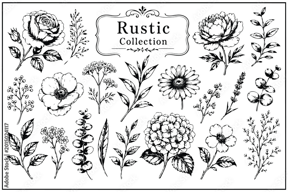 Obraz premium Rustic floral collection black and white vector illustrations Vector