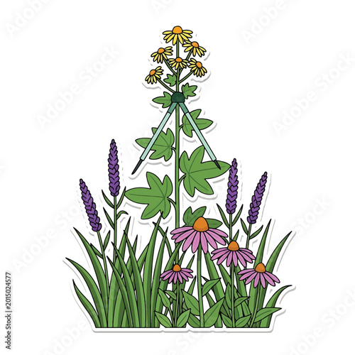 Fotografie Colorful flowers and green grass growing.