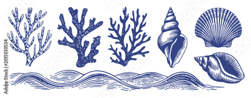 Vintage Marine Hand Drawn Collection with Coral, Seashells and Waves in Blue Ink Woodcut Style for Coastal Nautical Designs