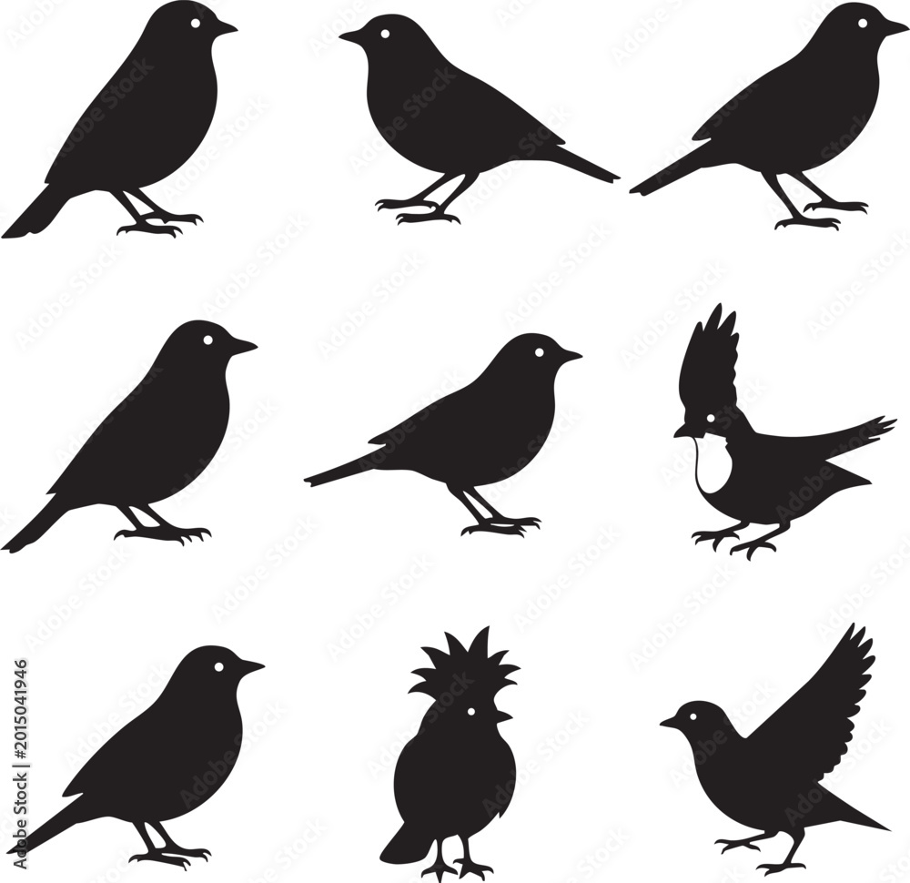 Obraz premium Bird silhouettes collection with silhouette illustration isolated creature feathers wildlife collection different