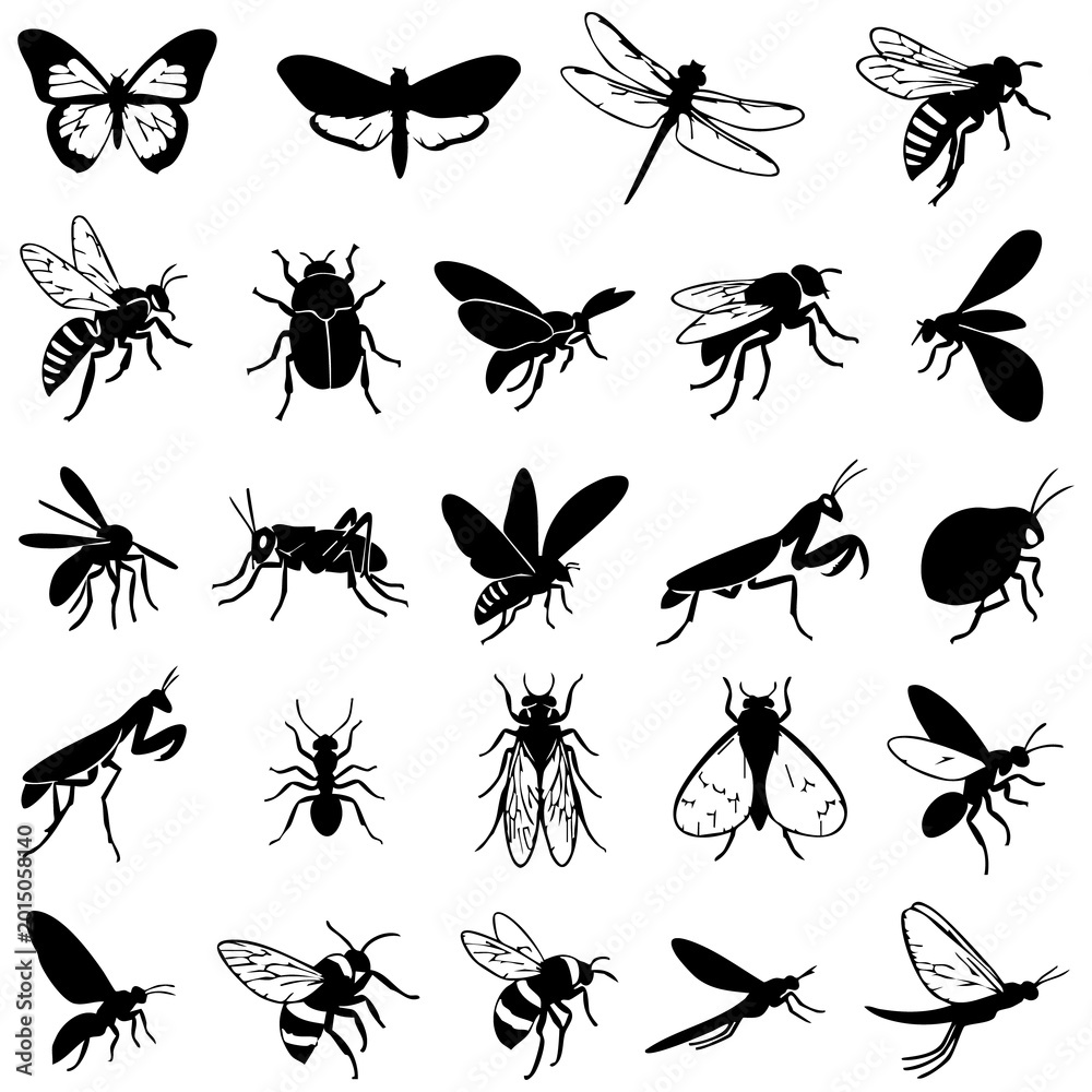 Fototapeta premium Collection of insect silhouettes featuring butterflies dragonflies bees black and white no people animal graphics silhouette