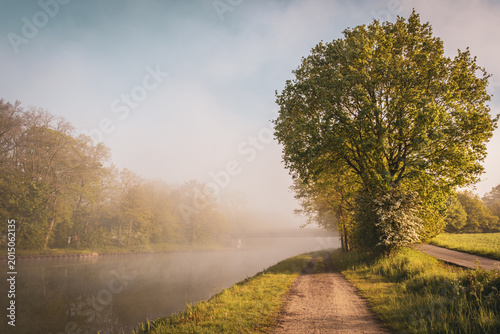 Obraz na plátně spring meadow, green field, countryside, rural landscape, morning haze, misty mo