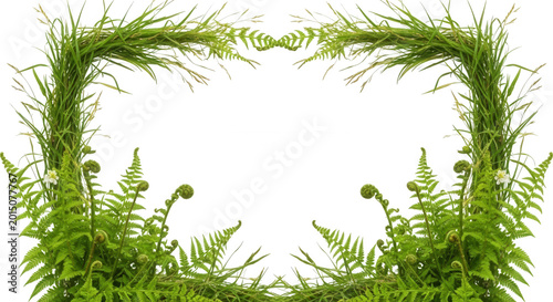 Rectangular border frame composed of lush green fern fronds and botanical foliage isolated on a solid black background