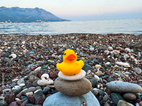 Schilderij op canvas Rubber duck perched on stacked stones at pebbly beach