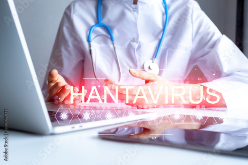 Doctor discusses hantavirus in a clinic with a laptop present during an office visit