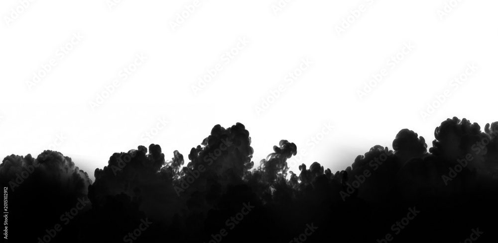 Fototapeta premium silhouettes of grass