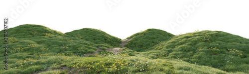 Bilde på lerret Grassy hill terrain with yellow wildflowers isolated on transparent background for landscape design asset