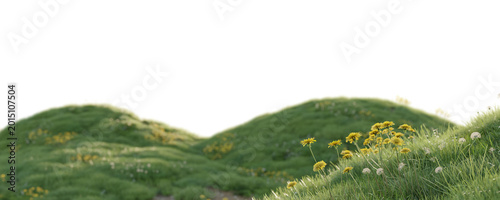 Quadro su tela Grassy hill terrain with yellow wildflowers isolated on transparent background for landscape design asset