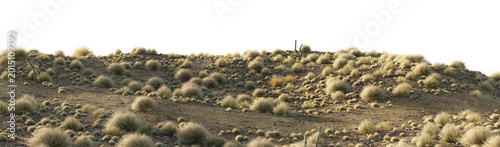 Photos Dry desert terrain with wild grass isolated on transparent background for environment design asset