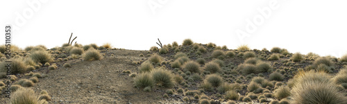 Bilde på lerret Dry desert terrain with wild grass isolated on transparent background for environment design asset