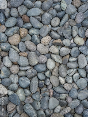 Εκτύπωση καμβά Scattered smooth grey river stones on ground, top view