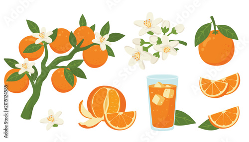 Tableau sur toile set of oranges exotic fruit